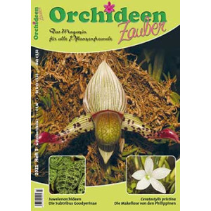 Orchideen Zauber 5 (September/Oktober 2021)