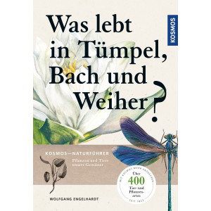 Was lebt in T&uuml;mpel, Bach und Weiher?