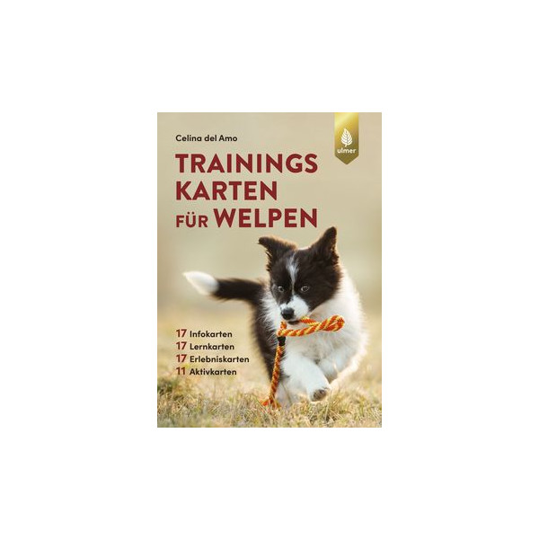Trainingskarten für Welpen