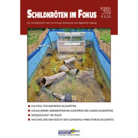 Schildkröten im Fokus 3-2021