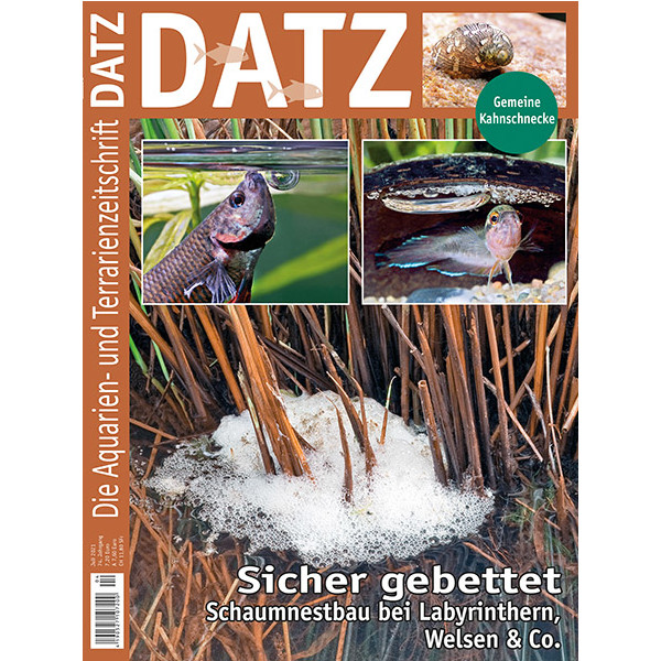 DATZ 2021 - 04 (August/September)