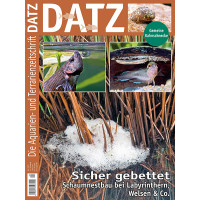 DATZ 2021 - 04 (August/September)