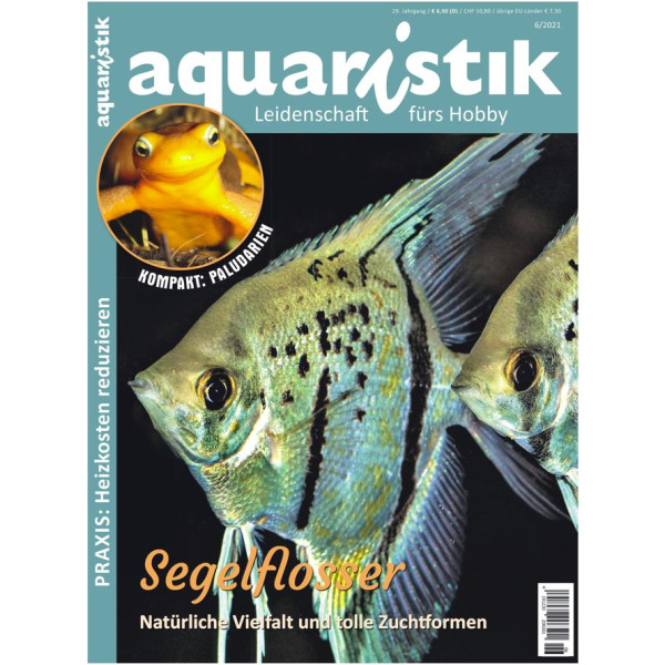 aquaristik 6/2021