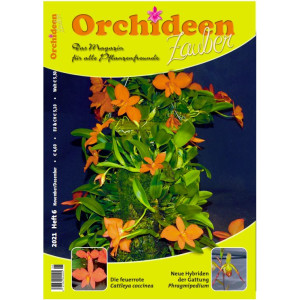 Orchideen Zauber 6 (November/Dezember 2021)