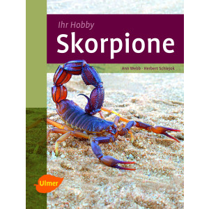 Skorpione Ihr Hobby