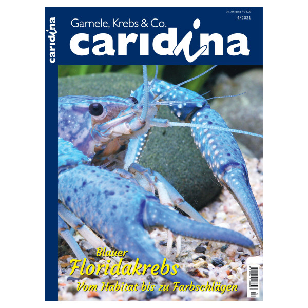 Caridina 4/2021