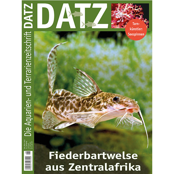 DATZ 2022 - 01 (Februar/März) box