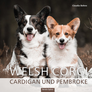 Welsh Corgi. Cardigan und Pembroke