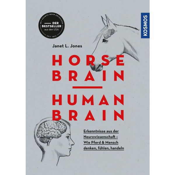Horse Brain, Human Brain