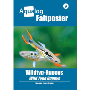 NEWS BOOKAZINE Poster 9 "Wilde Guppys"