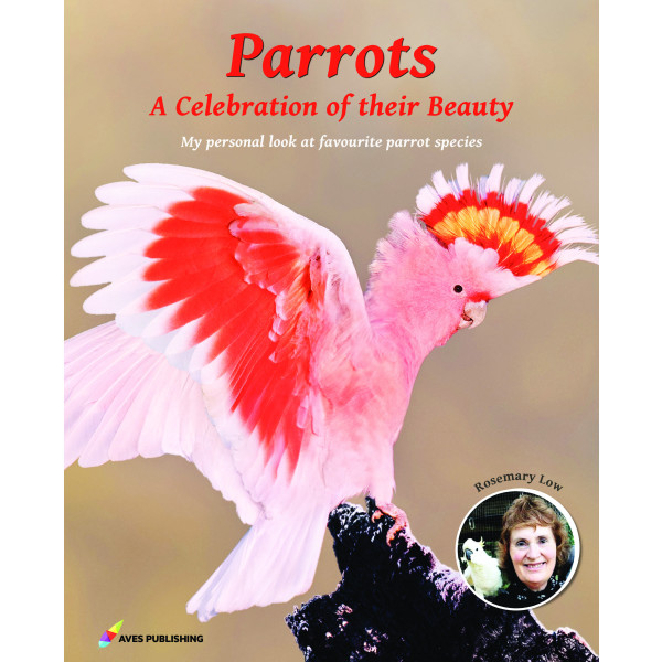 Parrots - A Celebration of their Beauty