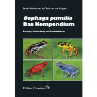 Oophaga pumilio - Das Kompendium