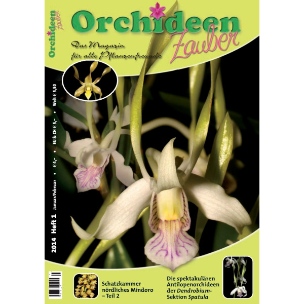 Orchideen Zauber 1 (Januar / Februar 2014)
