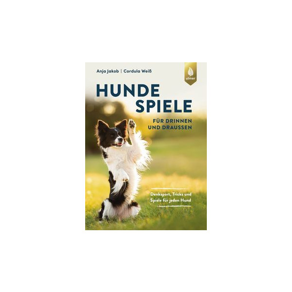 Hundespiele für drinnen und draußen