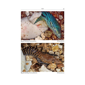 The Book of Monitor Lizards