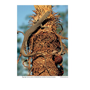 The Book of Monitor Lizards