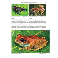 Status and Threats of Afrotropical Amphibians – Sub-Saharan Africa, Madagascar, Western Indian Ocean Islands