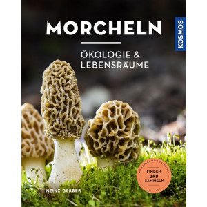Morcheln - Ökologie und Lebensräume
