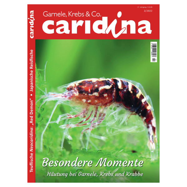 Caridina 2/2022 box