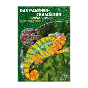 Das Pantherchamäleon- Furcifer Pardalis