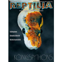 Reptilia 104 -  Königspythons (Dezember 2013/Januar 2014)