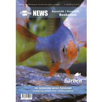 NEWS Bookazine Nr. 12 (Frühjahr 2022)