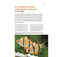 NEWS Bookazine Nr. 12 (Frühjahr 2022)