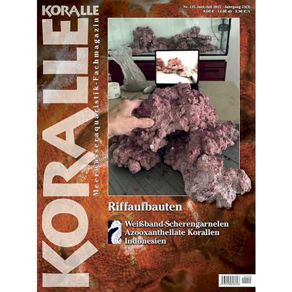 KORALLE 135 - Riffaufbauten (Juni/Juli 2022 )