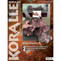 KORALLE 135 - Riffaufbauten (Juni/Juli 2022 )
