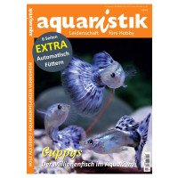 aquaristik 4/2022