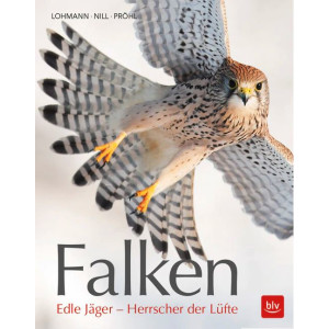 Falken - Edle Jäger - Herscher der Lüfte