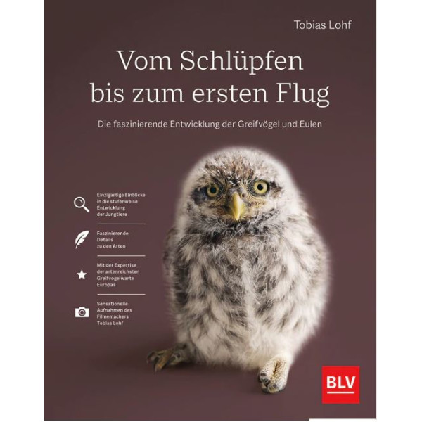Vom Schlüpfen bis zum ersten Flug - Die faszinierende Entwicklung der Greifvögel und Eulen