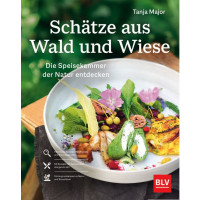 Schätze aus Wald und Wiese