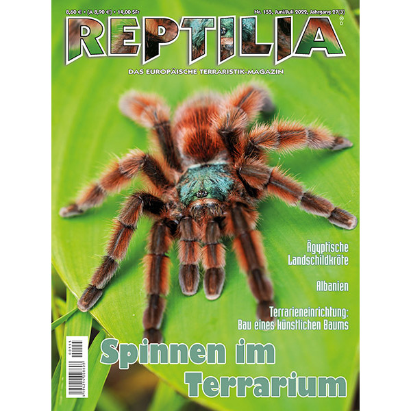 Reptilia 155 - Spinnen im Terrarium (Juni/Juli 2022)