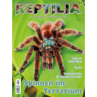 Reptilia 155 - Spinnen im Terrarium (Juni/Juli 2022)