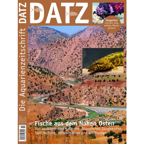 DATZ 2013 - 11 (November)