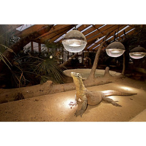 Captive Habitats - Building, furnishing and maintaining naturalistic vivariums and enclosures