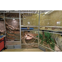 Captive Habitats - Building, furnishing and maintaining naturalistic vivariums and enclosures