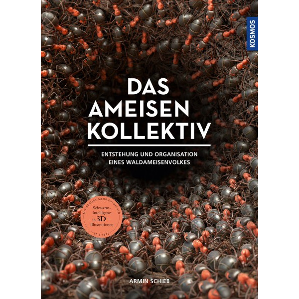 Das Ameisenkollektiv - Entstehung und Organisation eines Volkes der Roten Waldameise