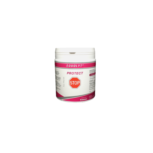 EQUOLYT Protect 540g/180 Tabletten