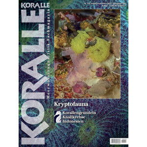 KORALLE 136 - Kryptofauna (August/September) 2022