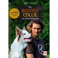 Der Border Collie als Familienhund - Leitfaden für den richtigen Umgang