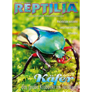Reptilia 103 -  Käfer (Oktober 2013)
