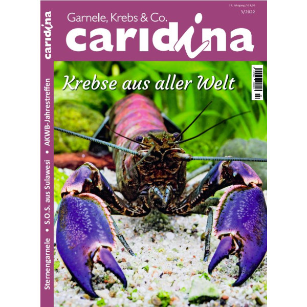 Caridina 3/2022