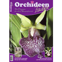 Orchideen Zauber 5 (September/Oktober 2022)