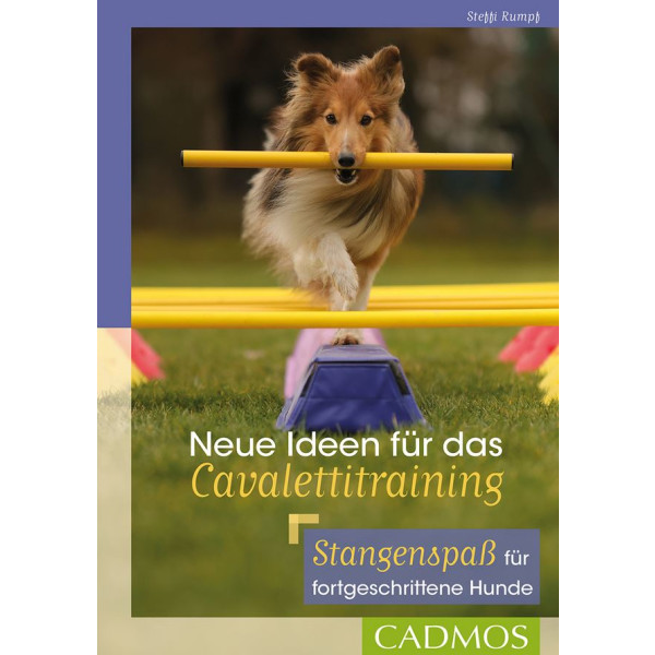 Neue Ideen für das Cavalettitraining - Stangenspaß für fortgeschrittene Hunde