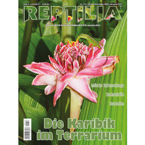 Reptilia 157 - Die Karibik im Terrarium (Oktober/November...