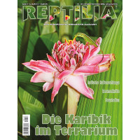 Reptilia 157 - Die Karibik im Terrarium (Oktober/November 2022)