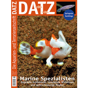 DATZ 2022 - 02 Marine Spezialisten (April/Mai)