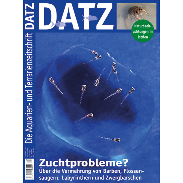 DATZ 2022 - 03 Zuchtprobleme? (Juni/Juli)
